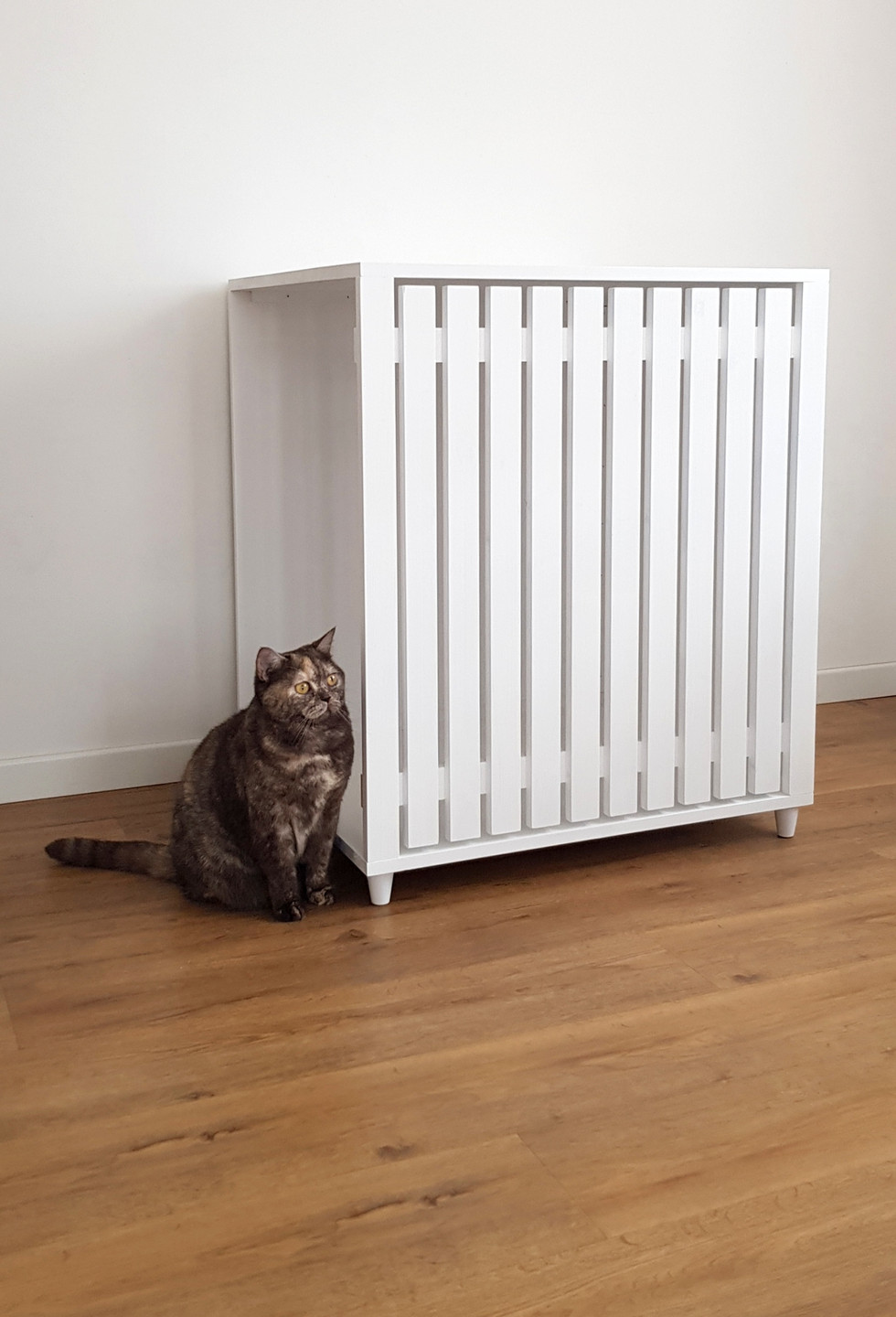 modern litter robot enclosure