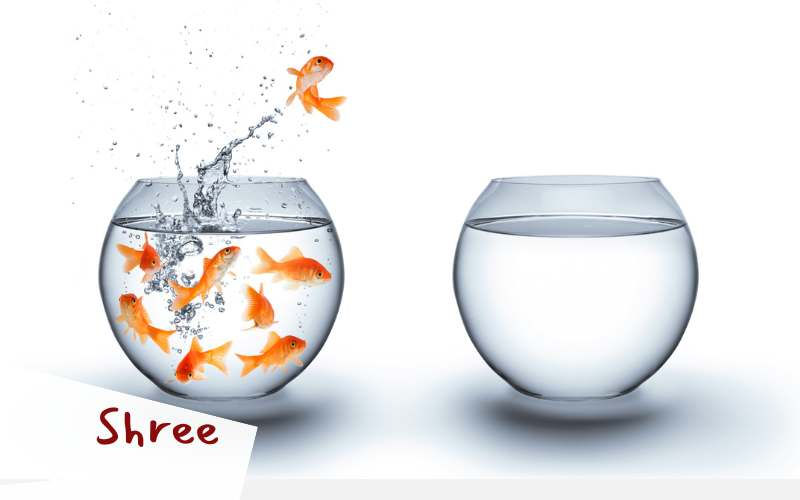 True success comes not from chasing it, but from becoming it. - Sadhguru | Wisdom Article by Sadhguru | Shree Siddhashram