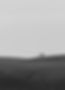 5I5A1963.jpg