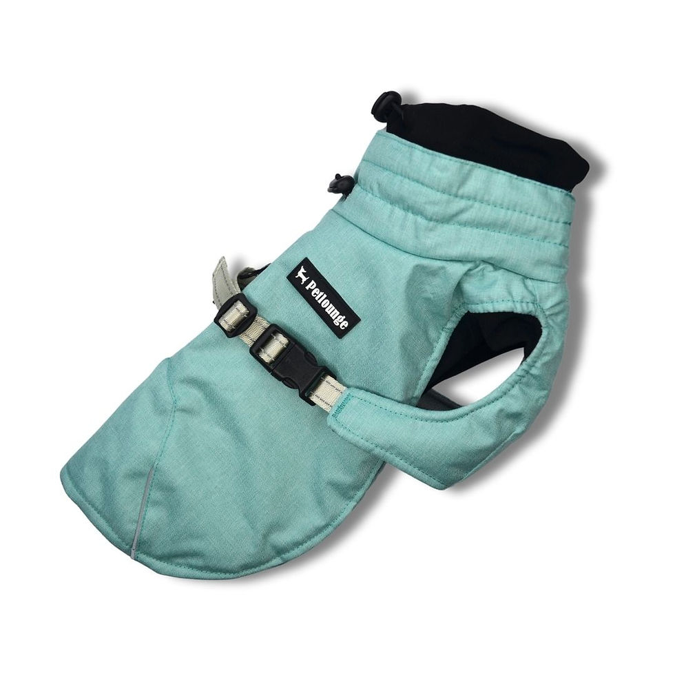 Miniatura: Parka Impermeable Termica Perro Dry and Comfy - Menta