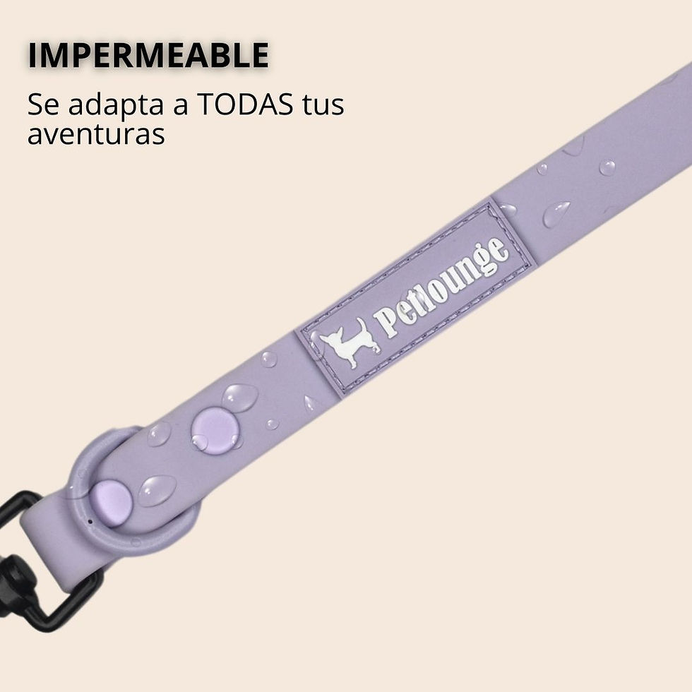 Miniatura: Correa Manos Libres - Impermeable - Multiuso 5 en 1 - Perro - Lila