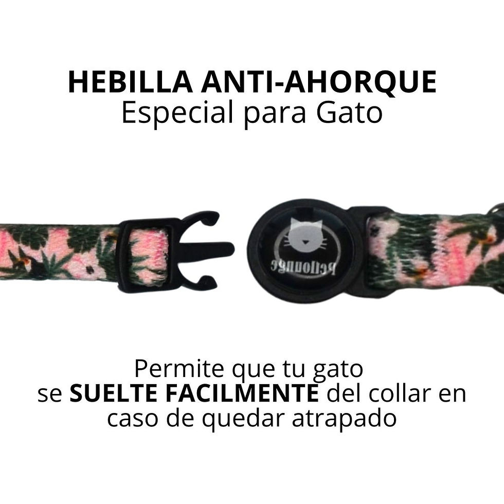 Miniatura: Collar Gato -  Pink Toucans