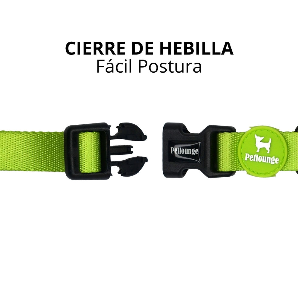 Miniatura: Collar Perro -  Verde - Easy Glam