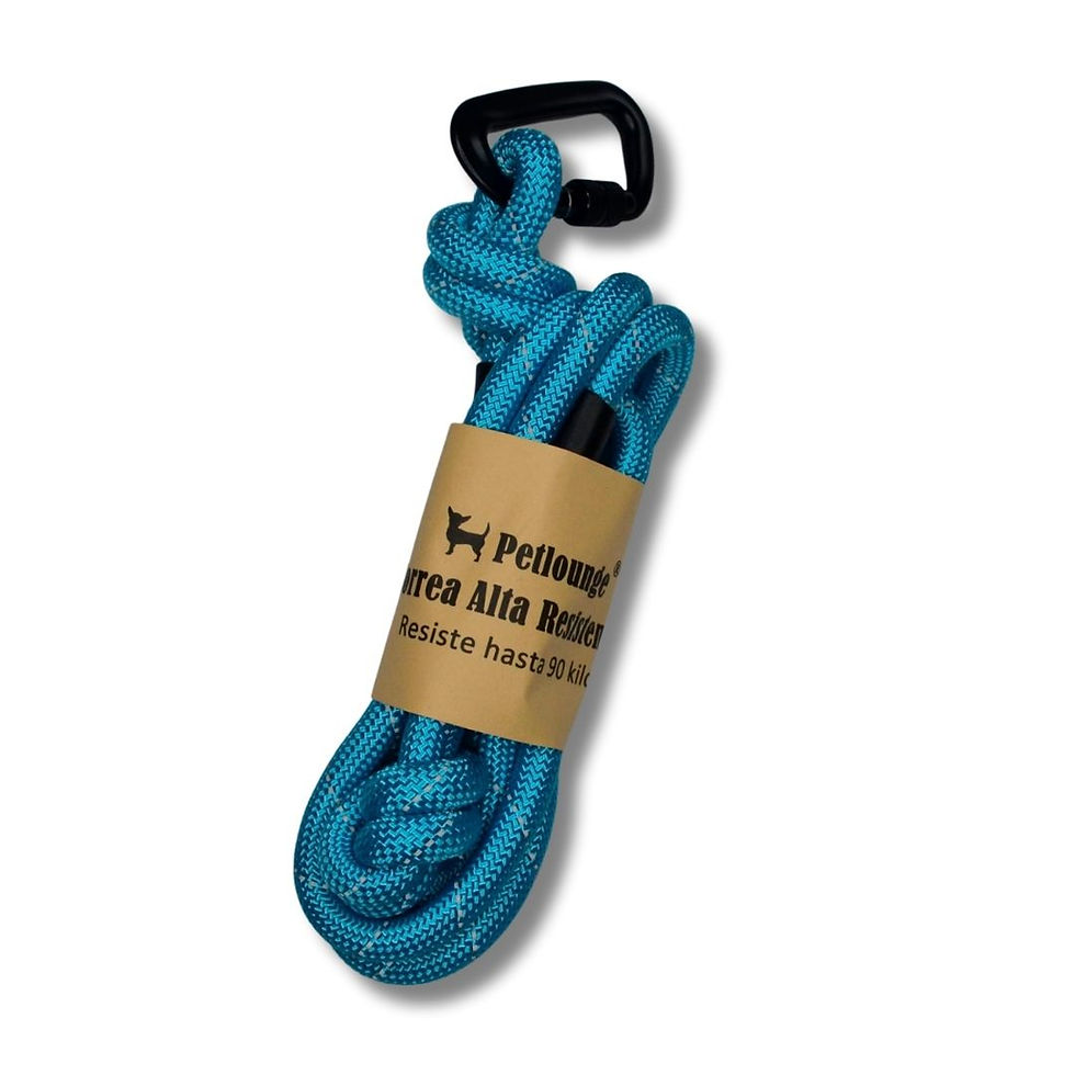 Miniatura: Correa Outdoor Alta Resistencia para Perros - Celeste
