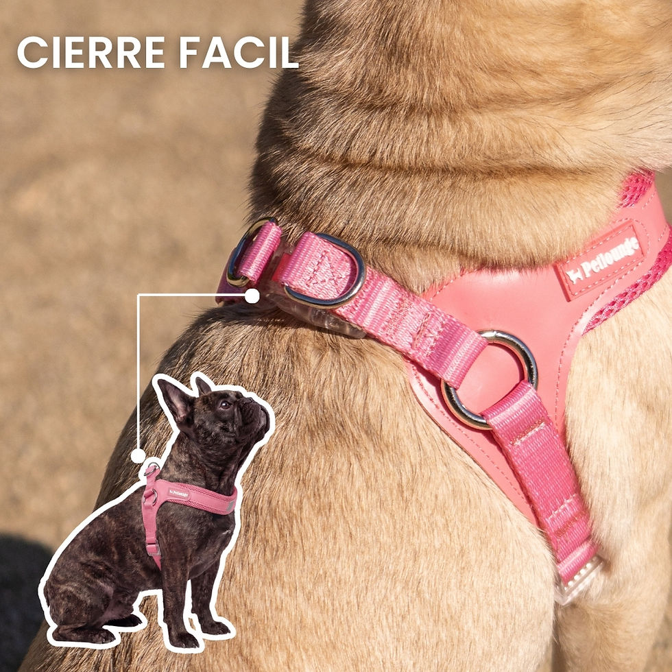 Miniatura: Arnés Step In para Perros - Rosado - Easy Glam
