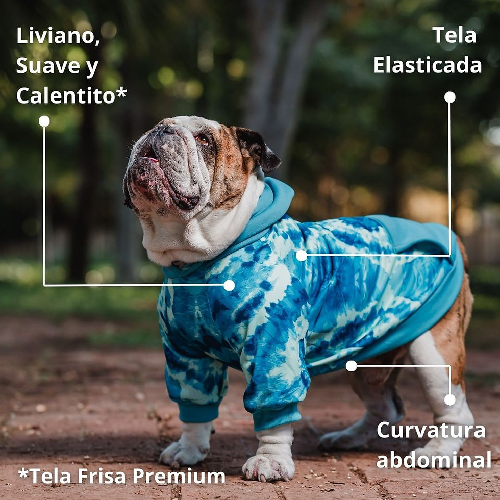 Miniatura: Hoodie Poleron Perro y Gato - Tie Dye Celeste