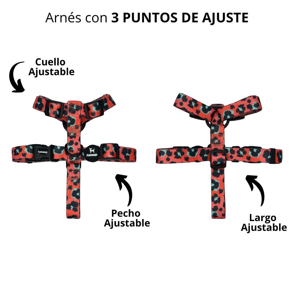 Miniatura: Arnés H para Perros y Gatos - Coral Leopard