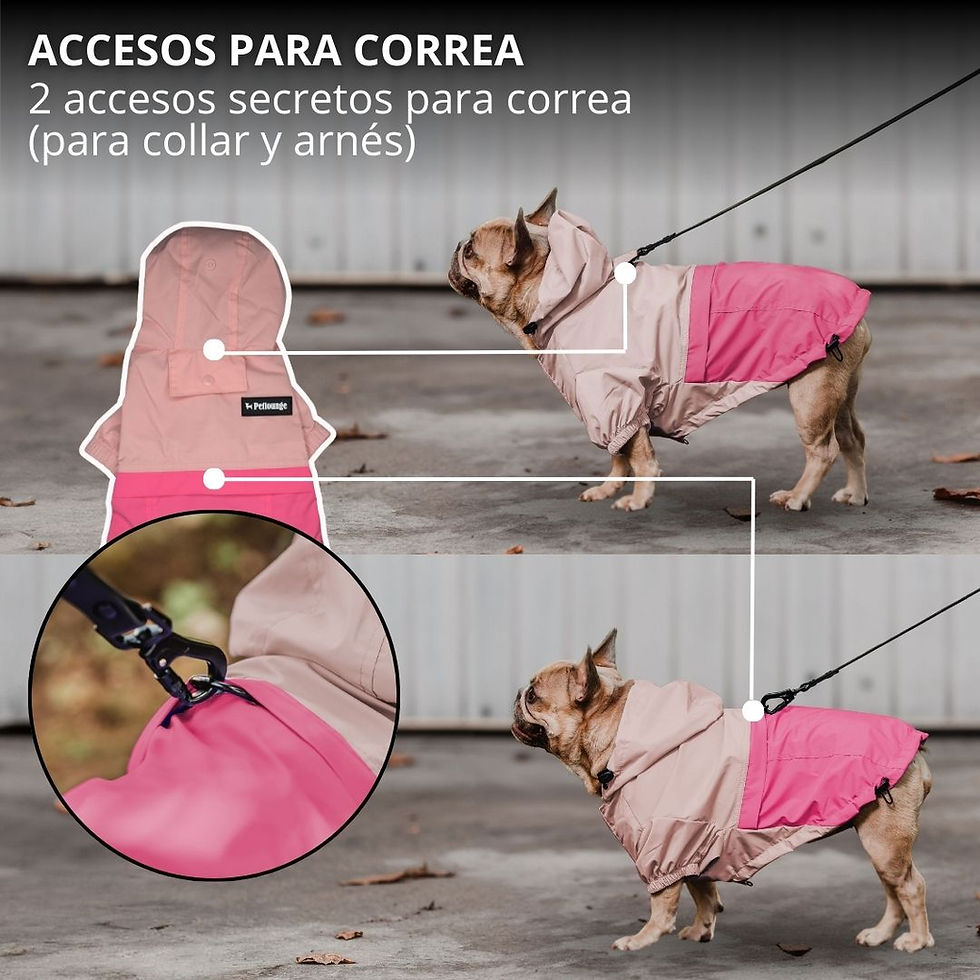 Miniatura: Cortaviento Impermeable Perro Hydrolite - Rosado