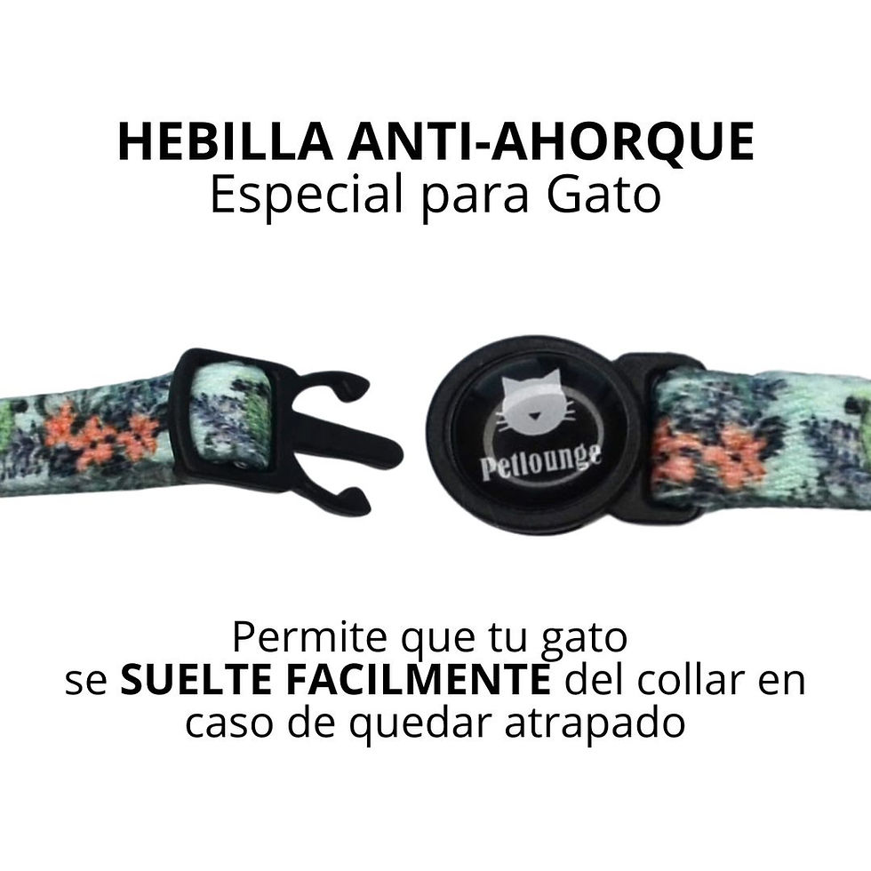 Miniatura: Collar Gato -  Blue Parrots