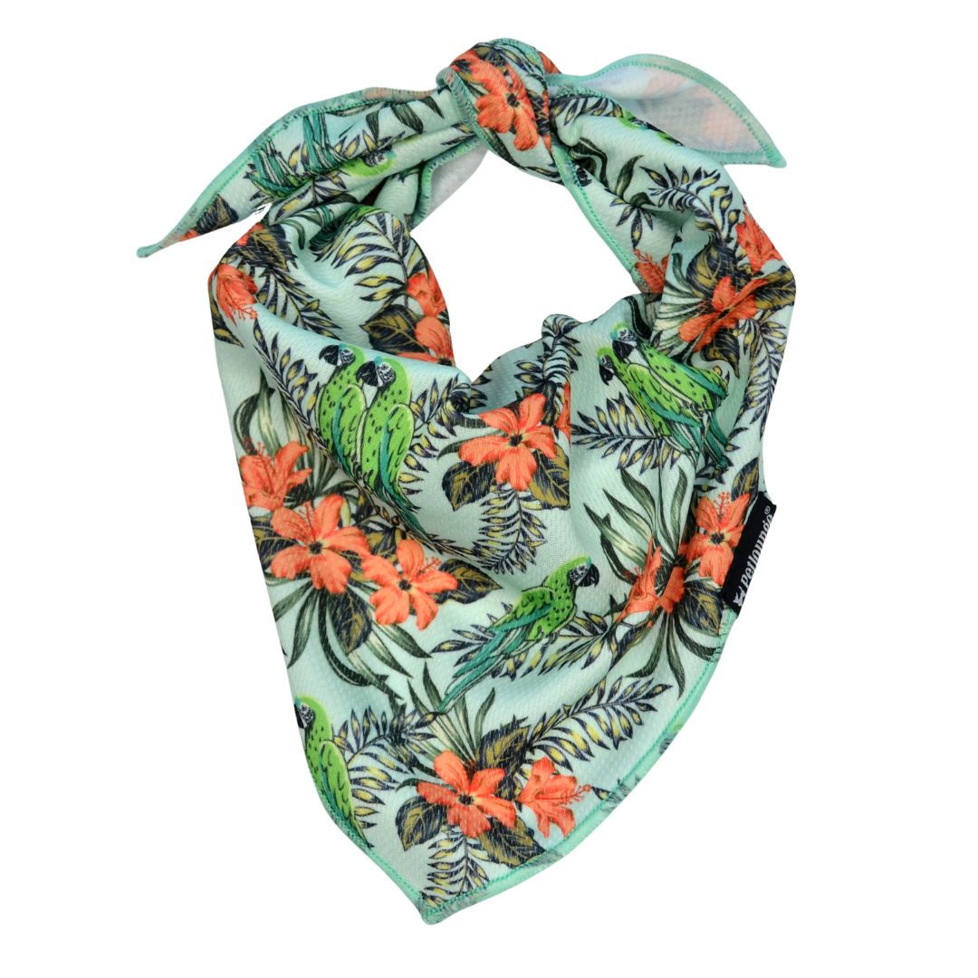 Bandana - Blue Parrots