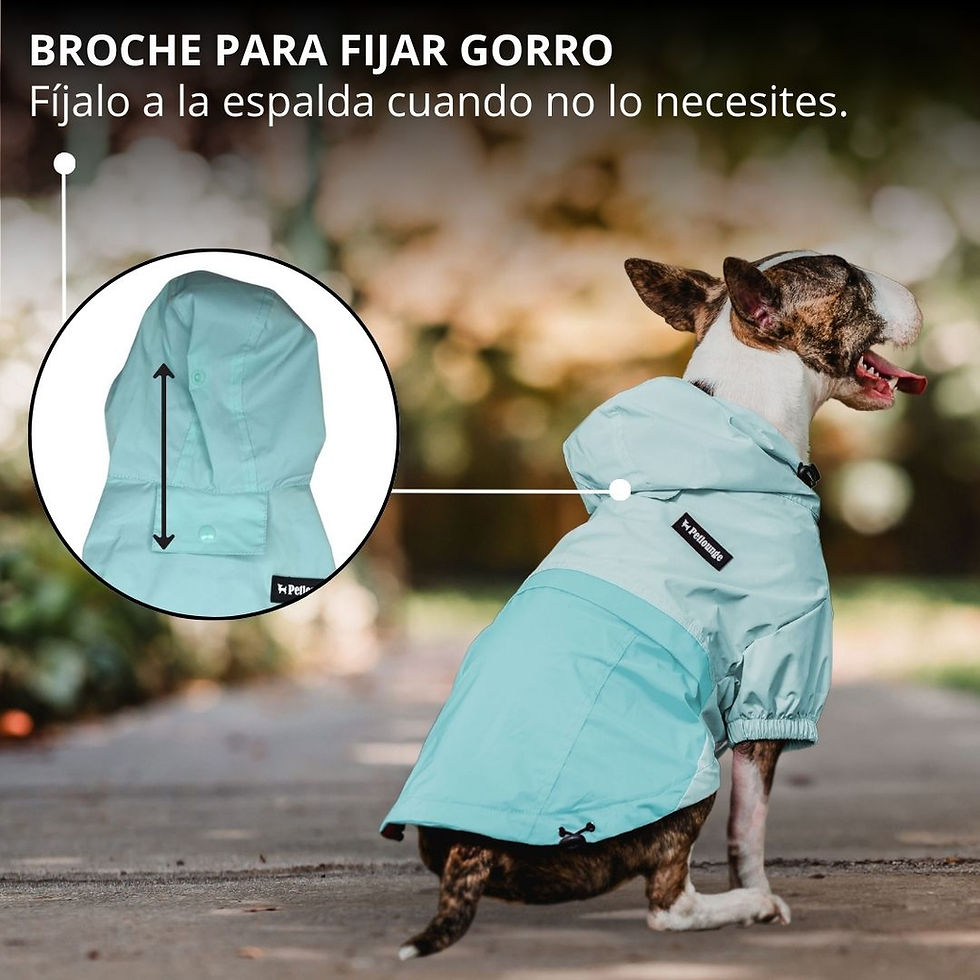Miniatura: Cortaviento Impermeable Perro Hydrolite - Celeste