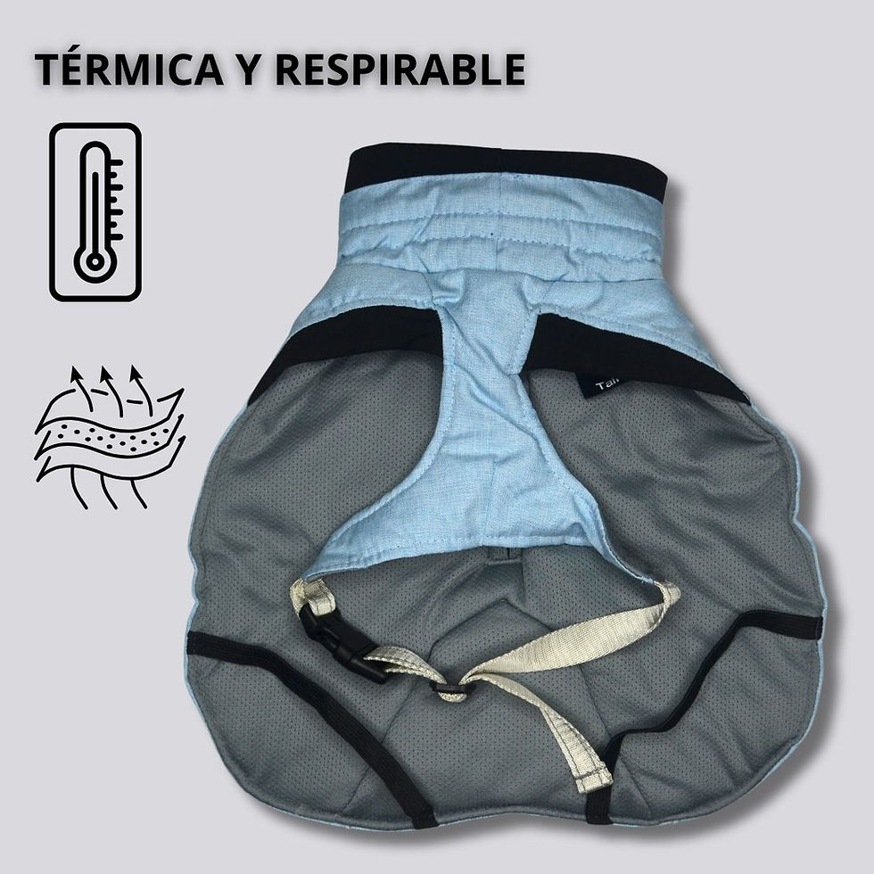 Miniatura: Parka Impermeable Termica Perro Dry and Comfy - Celeste