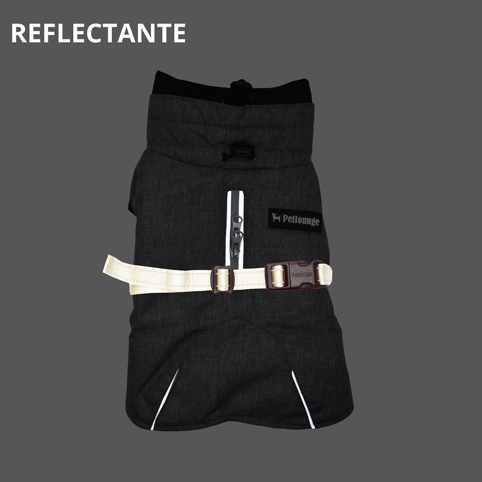 Miniatura: Parka Impermeable Termica Perro Dry and Comfy - Gris