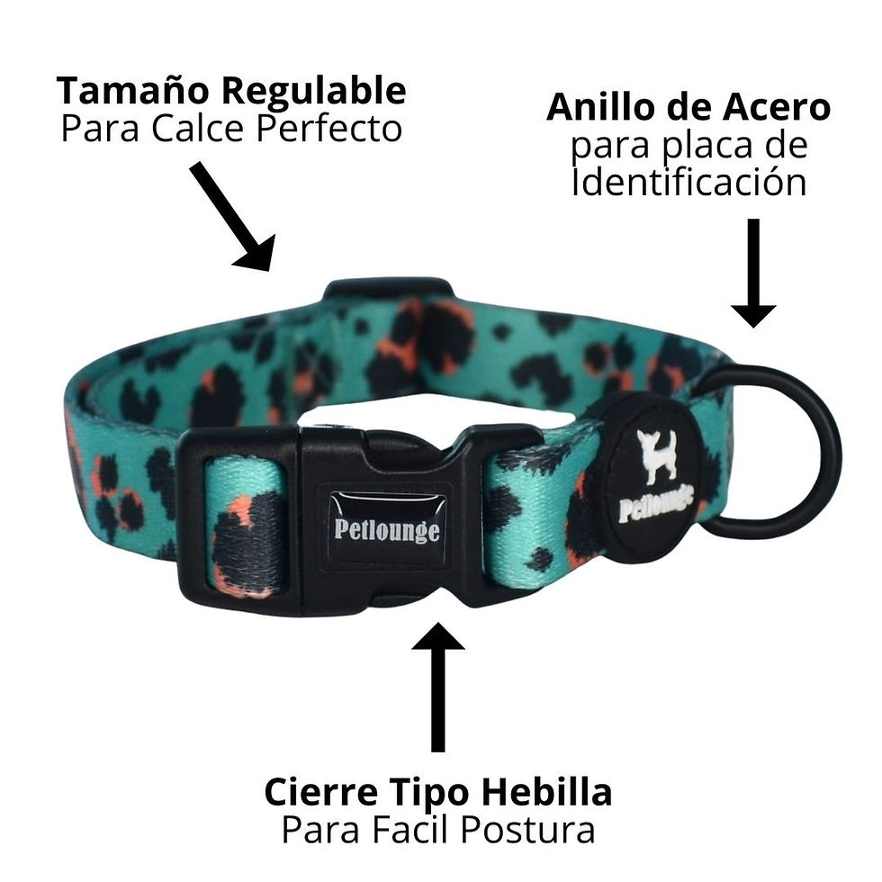 Miniatura: Collar Perro - Mint Leopard