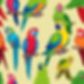 small colorful parrots.jpg