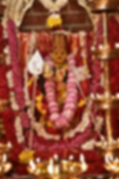 Close Up Barnet (resized).png