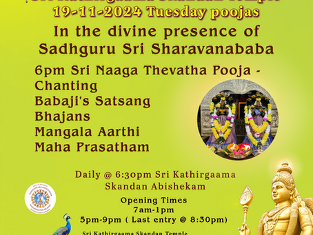 19-11-2024 Poojas