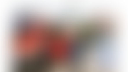 Besucherinformationen zum Ehrentag