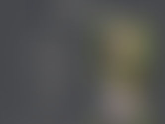 Christmas Tree Farm Mini Sessions