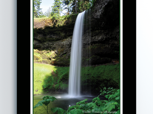 Caught Between Fear and Desire