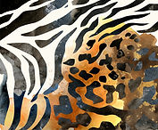 AdobeStock_278006076.jpeg