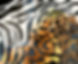 AdobeStock_278006076.jpeg