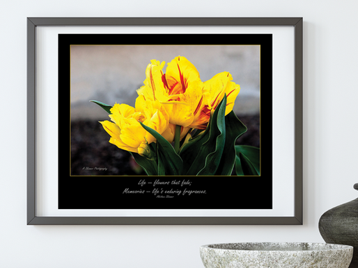 Whose Opinion Matters?