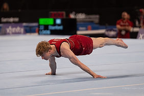 Article Photo with Gymnasts