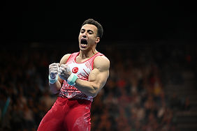 Article Header with Article Title and Gymnast Cutouts