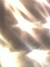 IMG_5562.jpeg