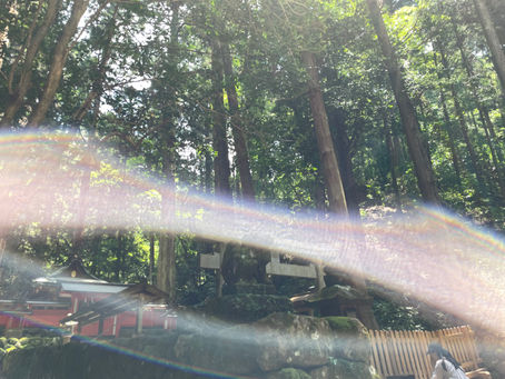 白龍が初めて写った日