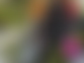 Women for Tomorrow Take On Spooky City Coffin Races