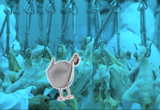 ezgif.com-video-to-gif.gif