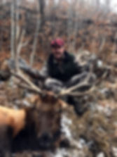 Brian B. AZ Bull - Copy - Copy.jpeg