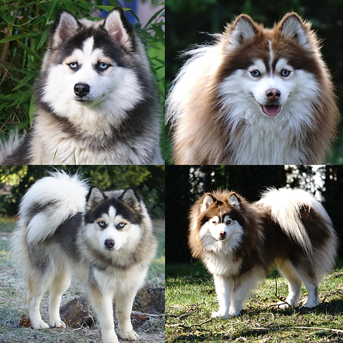 Copie de Copie de Copie de 1 jour.png