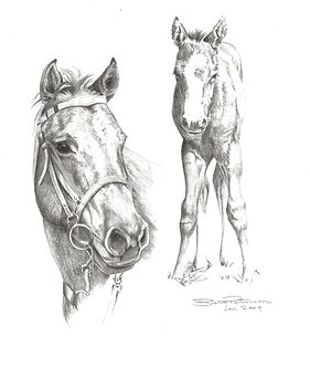 Custom Horse Sketch by Brett Heidi