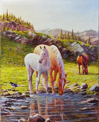 20150903_150257_HDR_edited.jpg