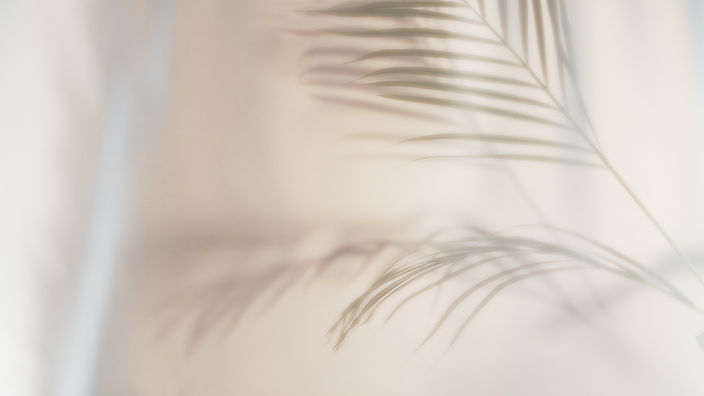 AdobeStock_474346184_Preview_edited.jpg