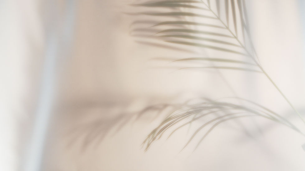 AdobeStock_474346184_Preview_edited.jpg