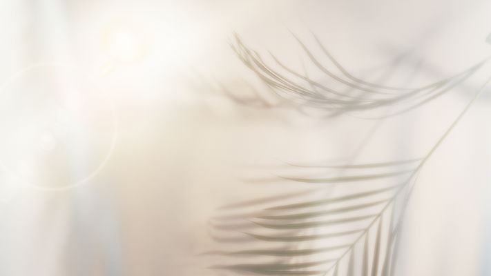 AdobeStock_474346184_Preview_edited_edited_edited.jpg