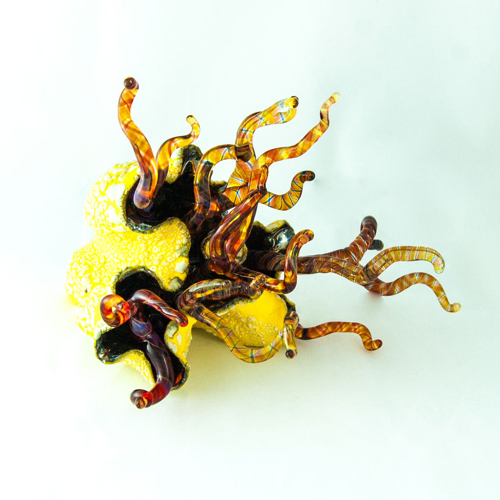 YellowSeaAnemone3.jpg