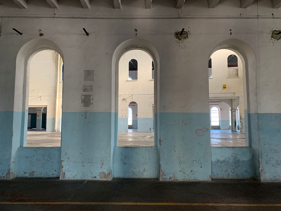 Piazza Coperta_15