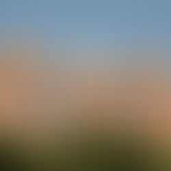 Longing And Belonging