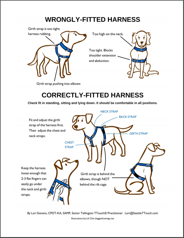 サムネイル： ◇反射するので夜でも安全◇リフレクトタイプ◇バランスハーネス◇
