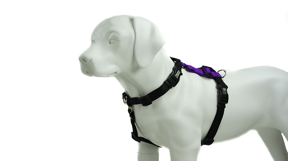 サムネイル： ◇犬の体にフィットして動きを妨げない◇バランスハーネス◇