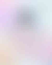 cute dolphin water bottle