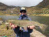 image1.jpeg