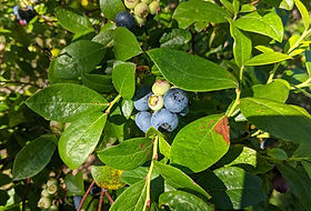 PXL_20210615_144108737.jpg