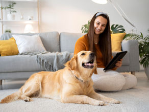 How Professional Pet Sitting in Durham Keeps Your Pets Happy & Stress-Free?