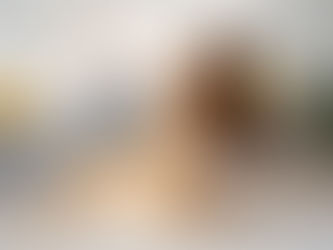 How Professional Pet Sitting in Durham Keeps Your Pets Happy & Stress-Free?